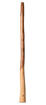 Wix Stix Didgeridoo (WS171)